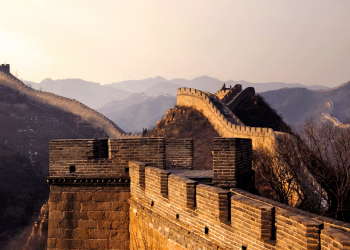 IP laws and international cooperation: progress in rights